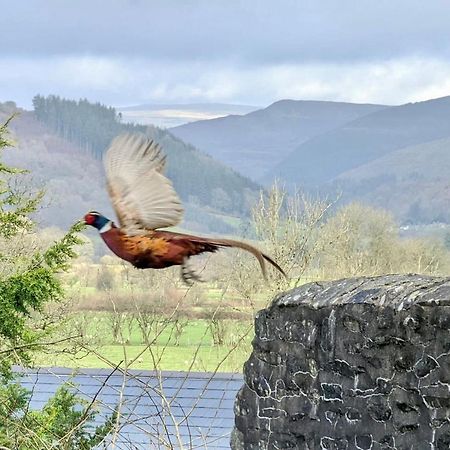 Aberhiriath Hall - The Old Georgian Manor House By The River Dyfi Cemmaes Dış mekan fotoğraf